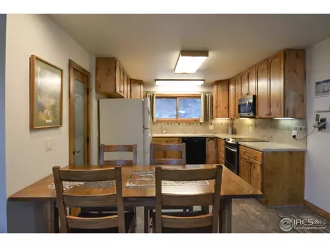 579 Streamside Dr, Glen Haven, CO 80532 photo 9