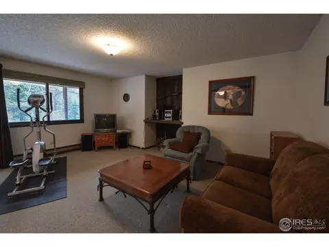 579 Streamside Dr, Glen Haven, CO 80532 photo 16