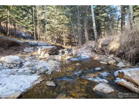 579 Streamside Dr, Glen Haven, CO 80532 photo 4
