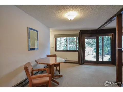 579 Streamside Dr, Glen Haven, CO 80532 photo 14
