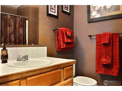 309 12th St, Windsor, CO 80550 photo 21