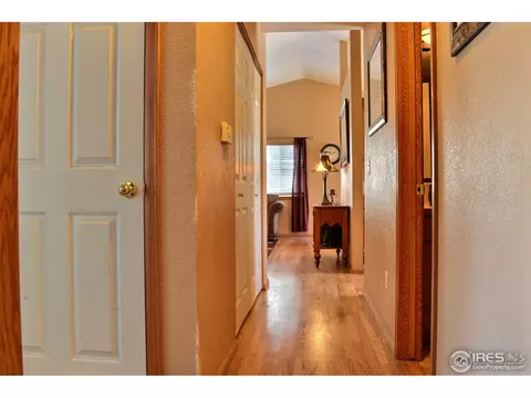 309 12th St, Windsor, CO 80550 photo 22