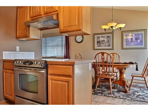 309 12th St, Windsor, CO 80550 photo 17