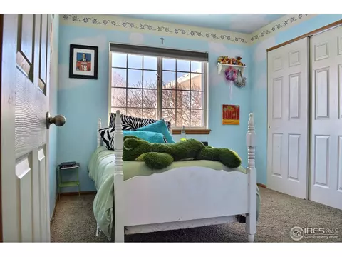 309 12th St, Windsor, CO 80550 photo 20
