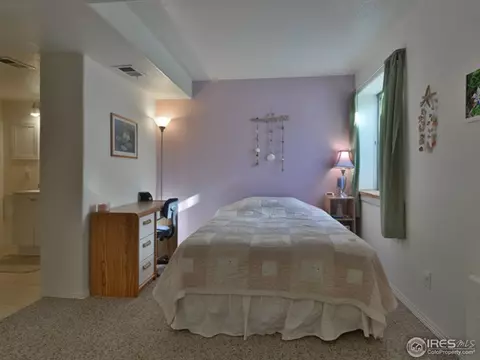 6270 Snowberry Ave, Firestone, CO 80504 photo 19