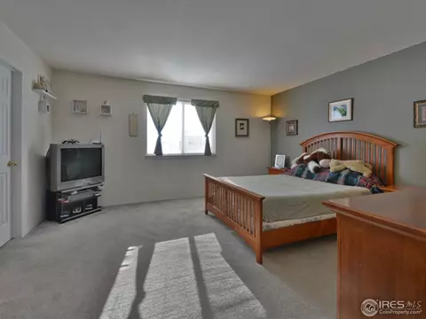 6270 Snowberry Ave, Firestone, CO 80504 photo 10