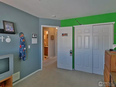 6270 Snowberry Ave, Firestone, CO 80504 photo 14