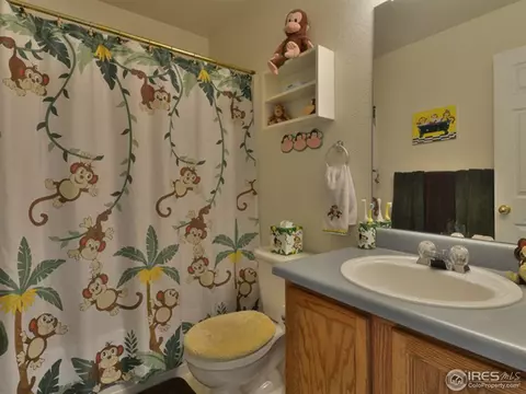 6270 Snowberry Ave, Firestone, CO 80504 photo 17