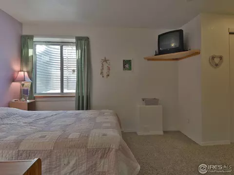 6270 Snowberry Ave, Firestone, CO 80504 photo 21