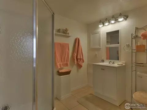 6270 Snowberry Ave, Firestone, CO 80504 photo 20