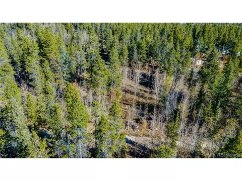 235 Willow Ln, Fairplay, CO 80440