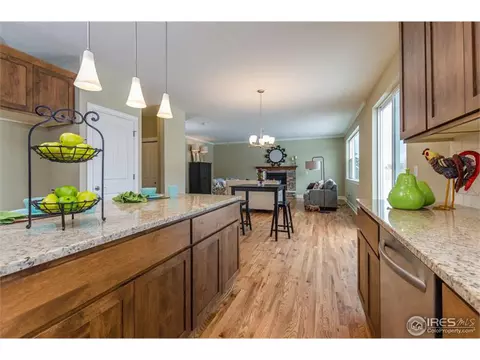 10172 Devonshire St, Longmont, CO 80504 photo 8