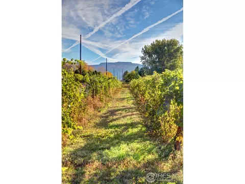3321 C Rd, Palisade, CO 81526 photo 24