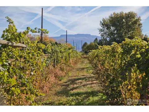 3321 C Rd, Palisade, CO 81526 photo 12