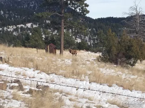 6787 Flagstaff Rd, Boulder, CO 80302 photo 25