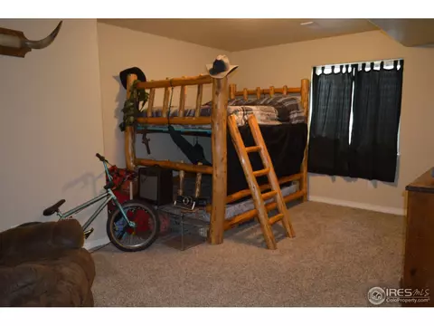 9007 Harlequin Cir, Frederick, CO 80504 photo 18