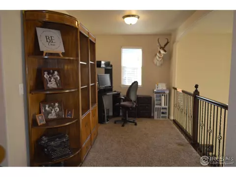 9007 Harlequin Cir, Frederick, CO 80504 photo 22