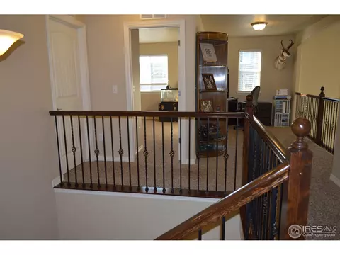 9007 Harlequin Cir, Frederick, CO 80504 photo 21