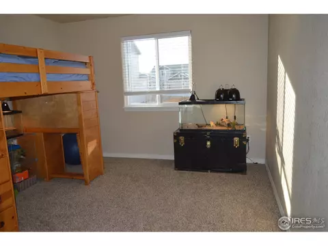9007 Harlequin Cir, Frederick, CO 80504 photo 10