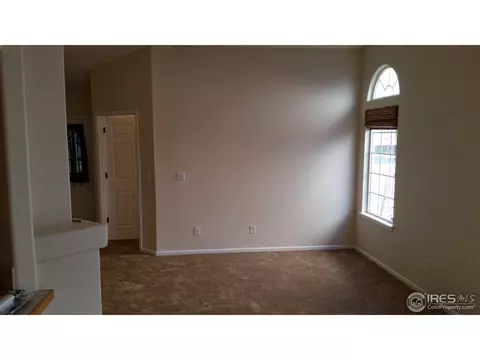 11715 Zenobia Loop, Westminster, CO 80031 photo 6