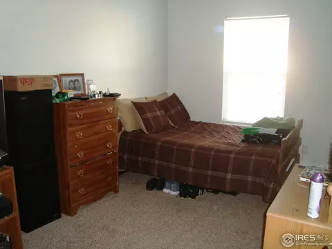 3203 Ellis Ct, Evans, CO 80620 photo 11