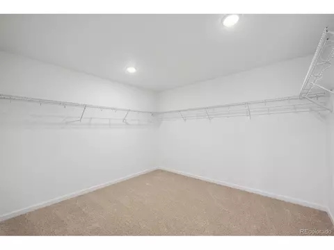 5143 Brangus Dr, Windsor, CO 80528 photo 14