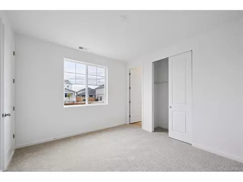 5143 Brangus Dr, Windsor, CO 80528 photo 3