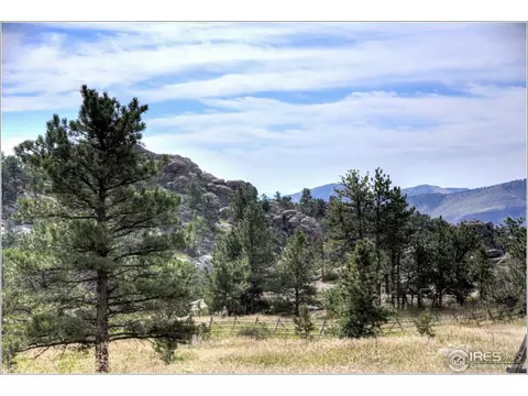 1723 Colard Ln, Lyons, CO 80540 photo 25