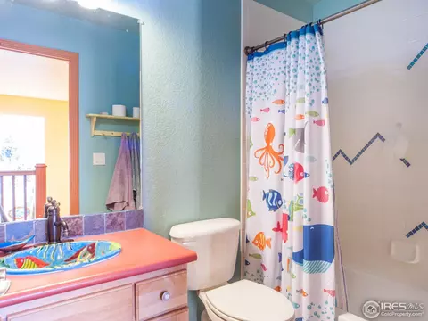 120 Noland Ct, Lyons, CO 80540 photo 13