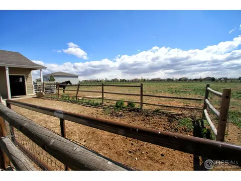 4662 Meadowlark Dr, Windsor, CO 80550 photo 22