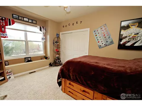 4662 Meadowlark Dr, Windsor, CO 80550 photo 13
