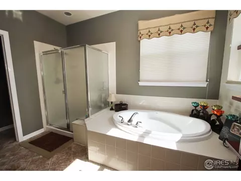 4662 Meadowlark Dr, Windsor, CO 80550 photo 11