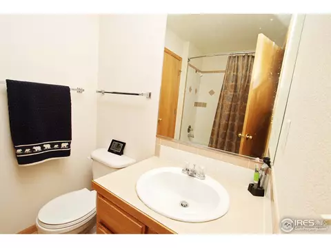 351 Sorrel Dr, Windsor, CO 80550 photo 14