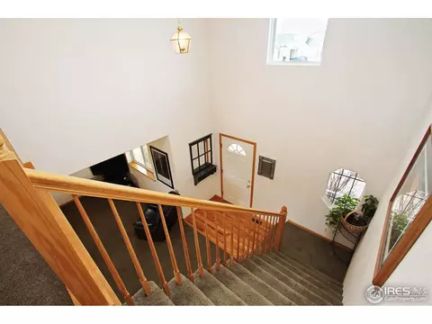 351 Sorrel Dr, Windsor, CO 80550 photo 8