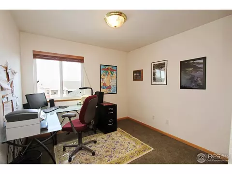 351 Sorrel Dr, Windsor, CO 80550 photo 11