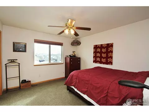 351 Sorrel Dr, Windsor, CO 80550 photo 9
