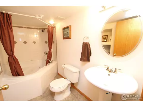 351 Sorrel Dr, Windsor, CO 80550 photo 17