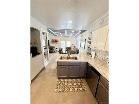 21404 E 47th Ave, Denver, CO 80249 photo 10