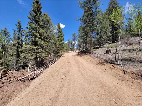 736 Aspen Cir, Hartsel, CO 80449