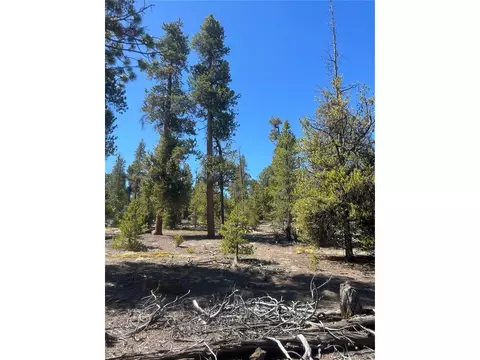 266 Ponderosa Dr, Leadville, CO 80461