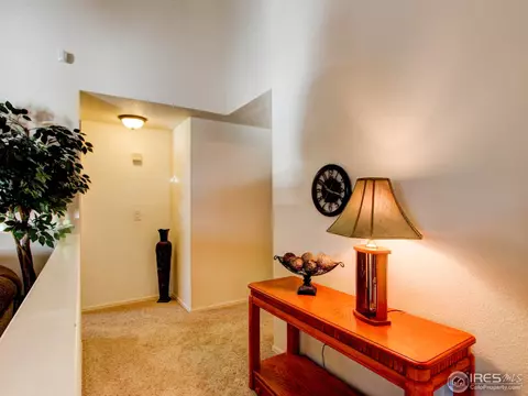 13887 Eudora St, Thornton, CO 80602 photo 14