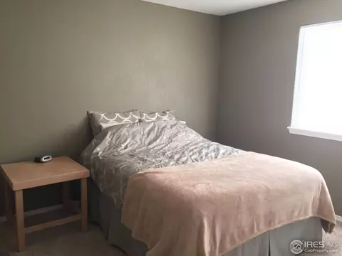 6815 Summerset Ave, Firestone, CO 80504 photo 17