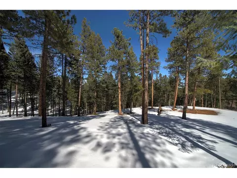 20625 Swaying Pine Dr, Morrison, CO 80465 photo 4