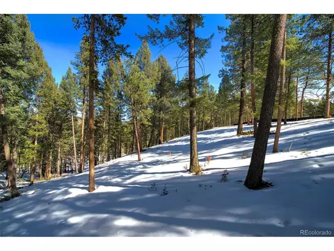 20625 Swaying Pine Dr, Morrison, CO 80465 photo 1