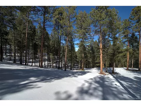 20625 Swaying Pine Dr, Morrison, CO 80465 photo 5