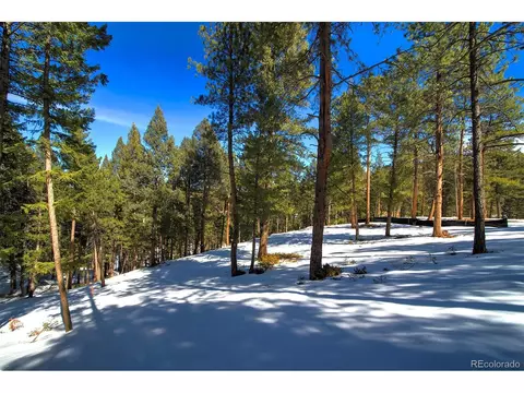 20625 Swaying Pine Dr, Morrison, CO 80465 photo 3