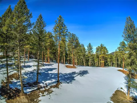 20625 Swaying Pine Dr, Morrison, CO 80465 photo 10