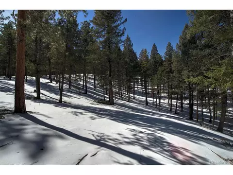 20625 Swaying Pine Dr, Morrison, CO 80465 photo 6