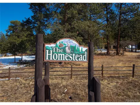 20625 Swaying Pine Dr, Morrison, CO 80465 photo 12