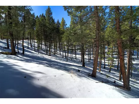 20625 Swaying Pine Dr, Morrison, CO 80465 photo 7